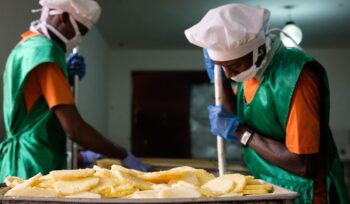 The workers remove the pineapple hearts and arrange the slices on a tray