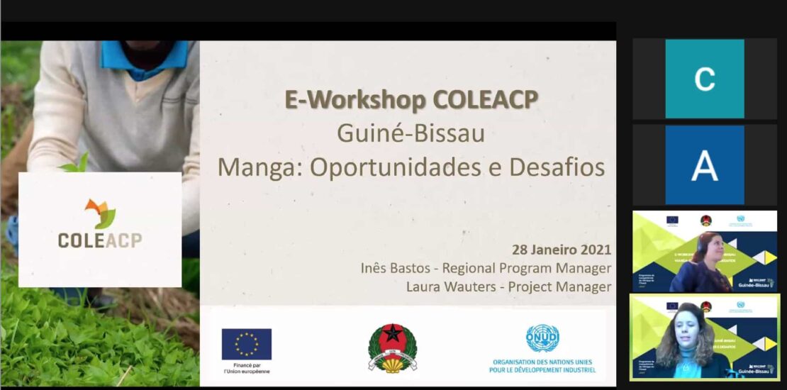 workshop Guiné Bissau WACOMP UNIDO