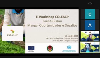 workshop Guiné Bissau WACOMP UNIDO