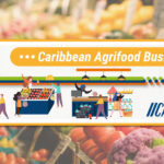 Caribbean Agrifood Business Series