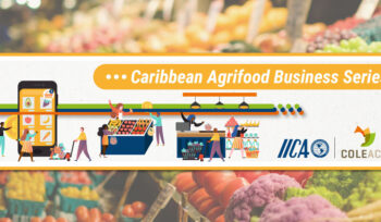 Caribbean Agrifood Business Series