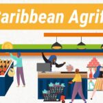 Agriculture Trade : opportunities for SMEs and businesses in export markets