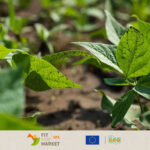 EU and UK : notification of changes to plant protection product (PPP) approvals - April-June 2022