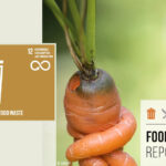 COLEACP supports entrepreneurs committed to reducing food loss and waste through innovative solutions