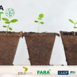 Les travaux de DeSIRA-LIFT sur l'agriculture intelligente pour atténuer le changement climatique présentés à la COP27