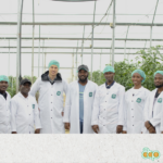 Nigeria : certification GLOBAL.G.A.P & GRASP, centrale solaire, DOBI AGRICO montre l'exemple
