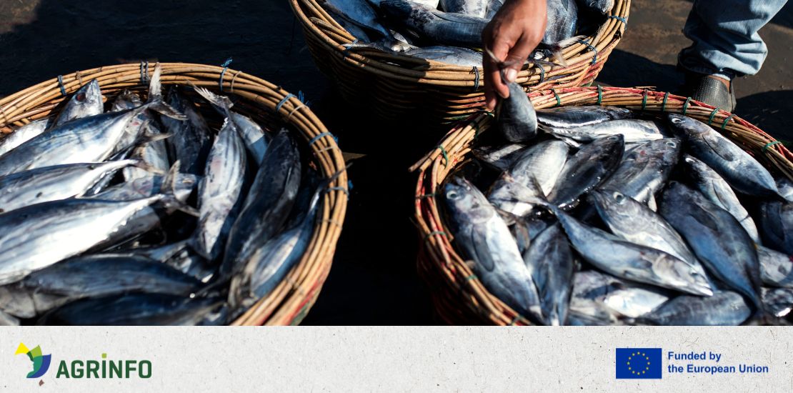 Secteur des pêcheries Philippines-UE : Accès au marché de l’UE aujourd’hui et demain