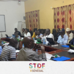 8_STDF Senegal (Formation) EN