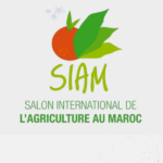 13_AGRINFO & FFMPLUS (IICA) FR