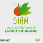 13_AGRINFO & FFMPLUS (IICA) FR