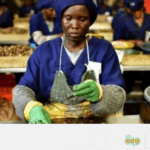 9_Biodiversity & sustainable agriculture – COMAKO FR