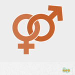 18_ Gender – FR