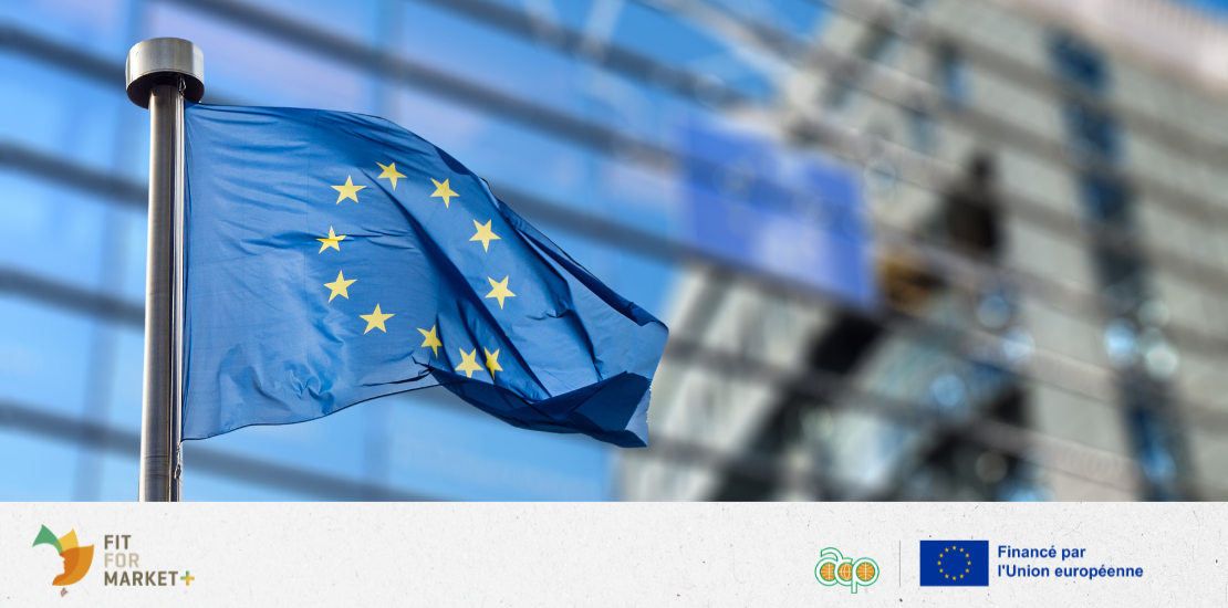Pratiques commerciales abusives : appel au Parlement européen pour une réglementation protégeant aussi les producteurs des pays tiers