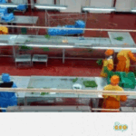 16_ETHIOPIE – EN