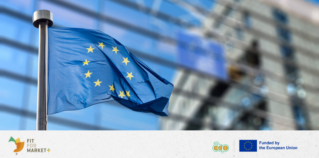 Towards better protection against unfair trading practices: Call on the European Parliament to regulate unfair trading practices and protect producers in third countries
