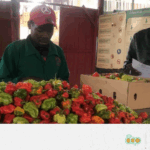 20_OUGAND – ENG