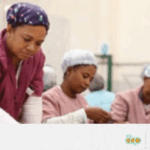 16_Jacarandas – EN