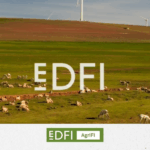 Insights from the EDFI and CSAF conferences: uniting finance and technical assistance to tackle global challenges 3_EDFI AGRIFI
