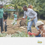 19_ NIGERIA PLOT DEMO FR