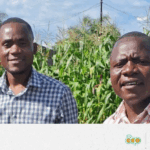 32_Coldiron Zimbabwe EN