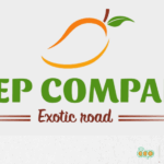 13_ ANEP COMPANY FFM+ EN