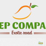 13_ ANEP COMPANY FFM+ FR