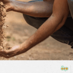 7_MOOC CHANGEMENT CLIMATIQUE FFM+ FR