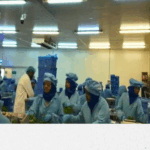13_JOYTECH ETHIOPIA EN