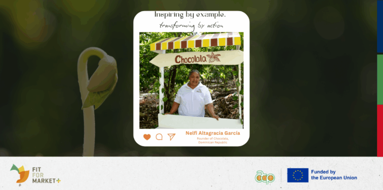 Nelfi Altagracia García (Dominican Republic): from five women selling door to door to a business powering its community