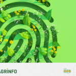 IPPC (FAO): from phytosanitary standards to practical implementation 6_IPPC FAO FFM+ &AGRINFO EN